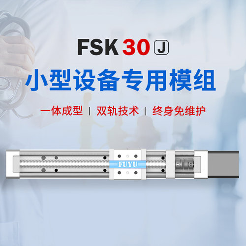 FUYU双轨丝杆滑台微型精密步进