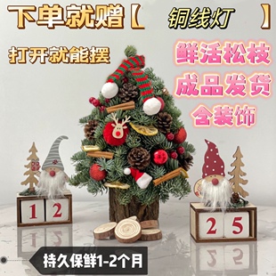 进口诺贝松圣诞小树圣诞节桌摆装 饰品真松柏鲜树枝上海同城配送