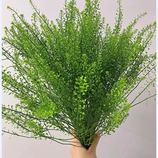 鲜切高级配草叶材绿灵草花束插花家用摆放江浙沪皖2扎包邮