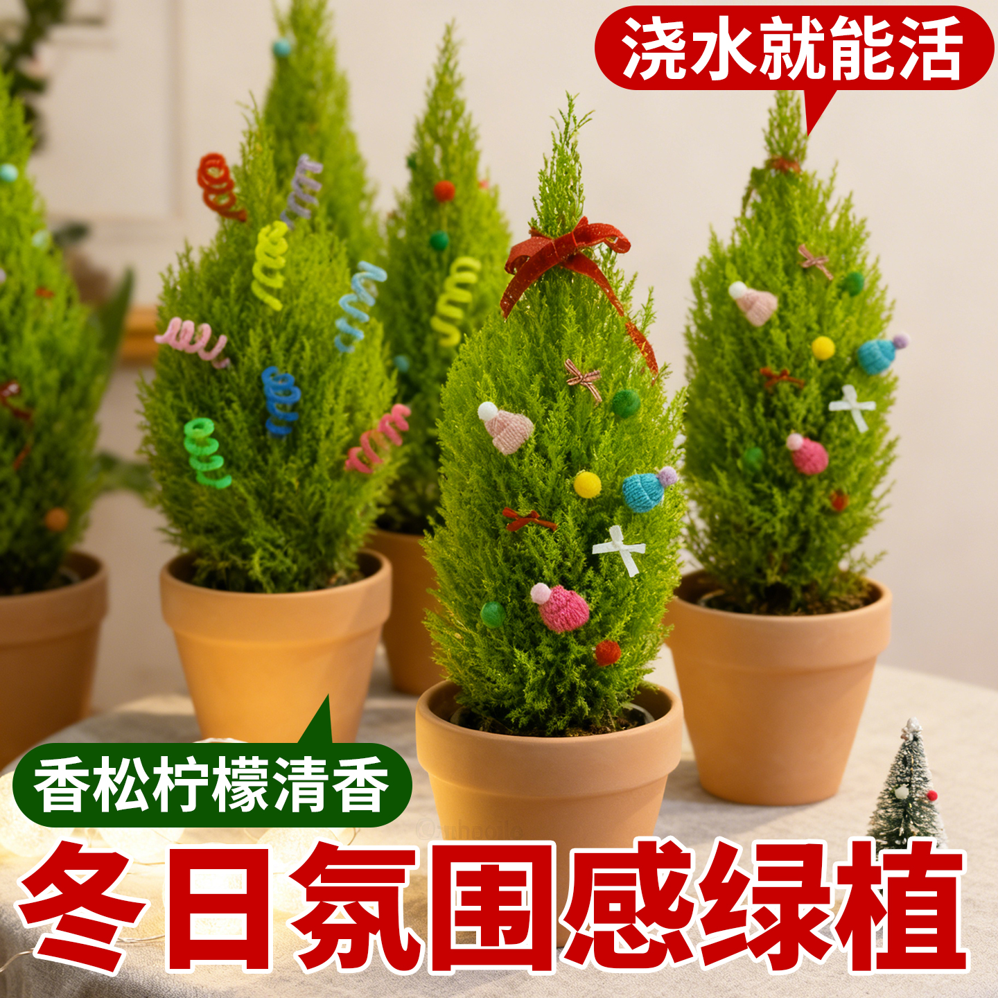小香松圣诞树盆栽室内客厅办公室桌面绿植放青松趣味摆件净化空气