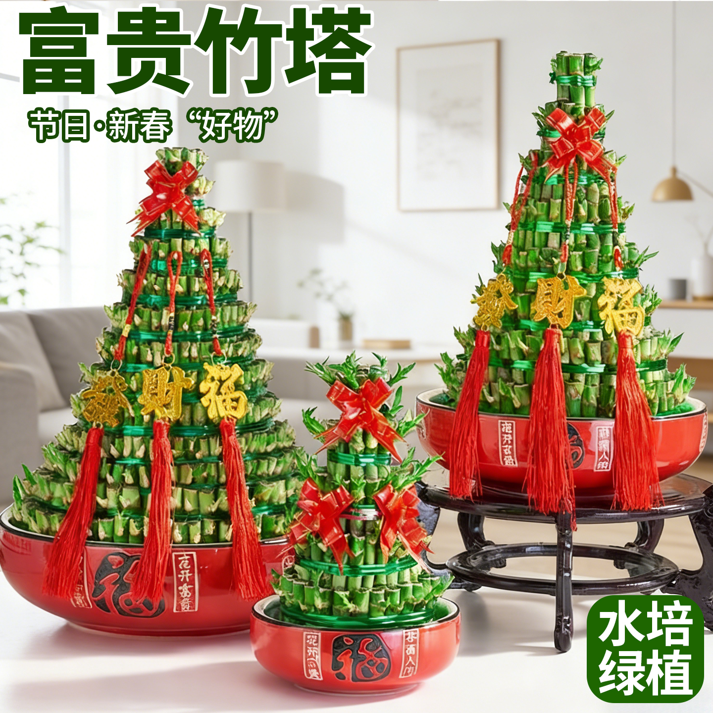 竹塔富贵竹水培植物转运竹室内办公桌面绿植盆栽净化空气节节高