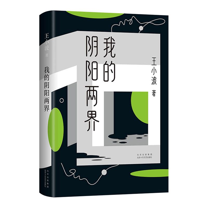 【赠夜光书签】我的阴阳两界(新版) 王小波 遗珠神作 罗翔朱一龙麦家李诞都在读他 赠品数量有限赠完即止 新经典