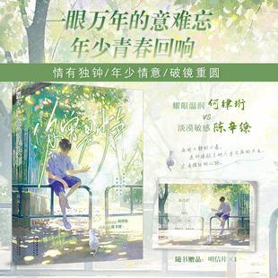 你曾是少年 冯沅 著 一眼万年的意难忘 年少青春回响 青春文学