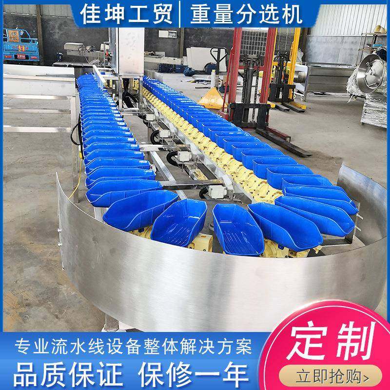全自动称重分选机 果蔬重量分选设备 海鲜重量分拣机 厂家供应,清洗/食品/商业设备,肉制品加工设备,淘宝优惠券,粉丝福利购,淘宝优惠卷