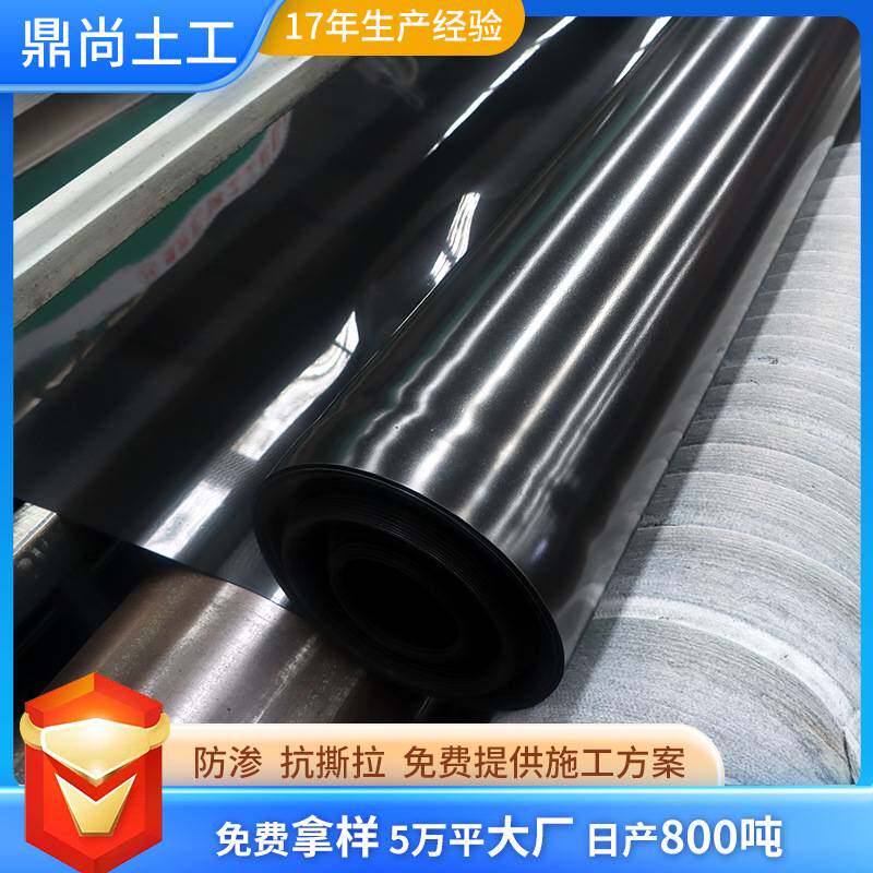 hdpe土工膜0.4 0.5mm鱼塘养殖防渗膜蓄水池底部垃圾场防渗土工膜