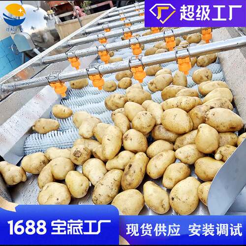 大姜清洗机毛刷清洗机 平行喷淋毛刷清洗机 不锈钢土豆洗泥机