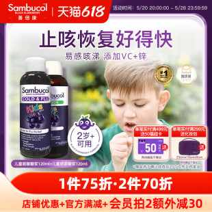 澳洲进口Sambucol黑接骨木莓儿童宝宝营养维C锌 平咳免疫糖浆组合