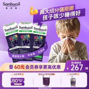 澳洲Sambucol黑接骨木儿童保健品营养口服液小绿叶平咳糖浆3瓶装