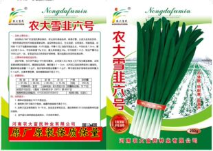 农大雪韭六号黑冠陆地韭菜种子农大阳光大棚韭菜籽种不休眠速生孑