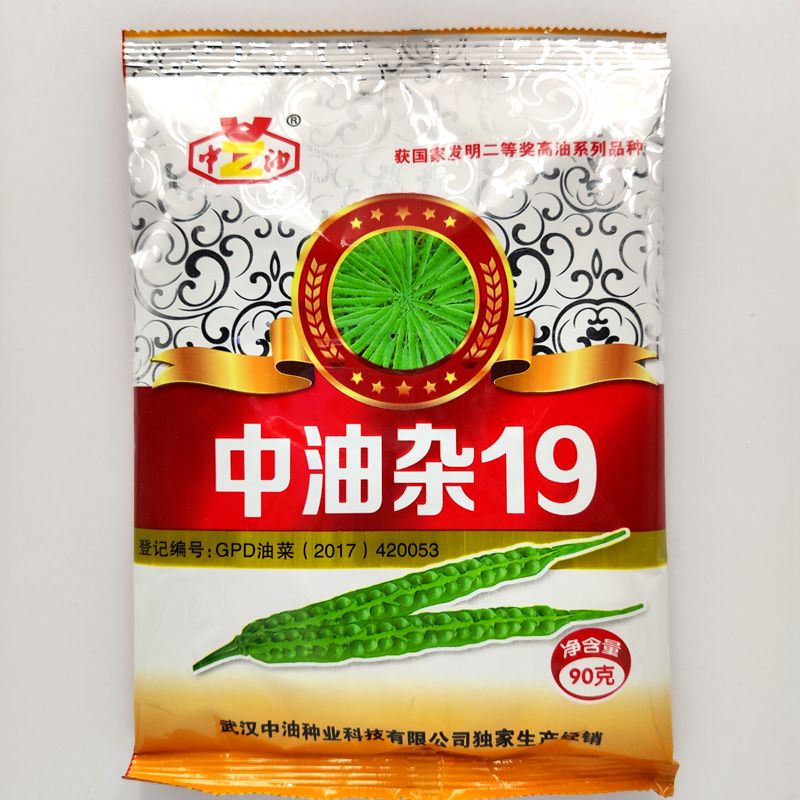 中油四川大粒丰产高油矮油油菜籽