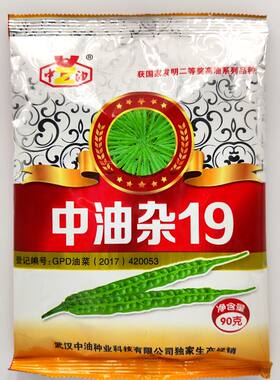 中油四川大粒丰产高油矮油油菜籽