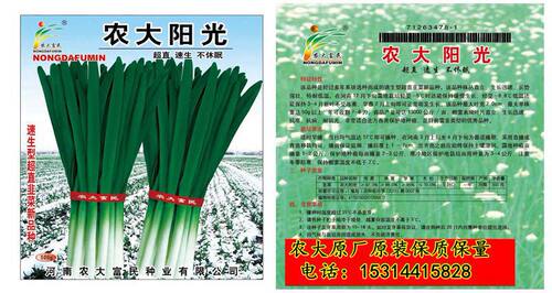 农大新世纪雪韭六号韭菜籽种