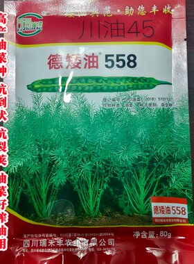 高产矮杆矮杆高产抗倒伏油菜籽