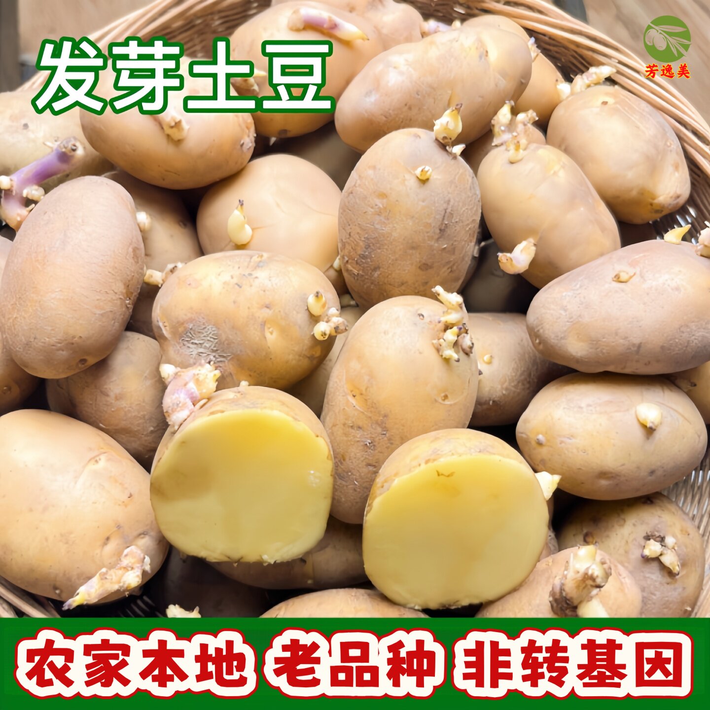 土豆种子农家定西土豆苗子老品种马铃薯种苗地蛋秧苗本地洋芋种籽
