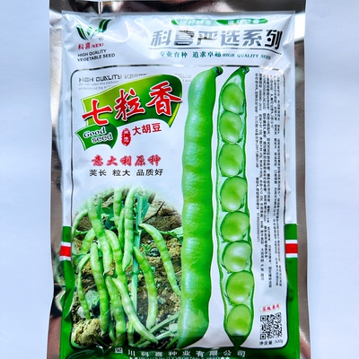 大全七星剑蚕豆种七粒香日本特大
