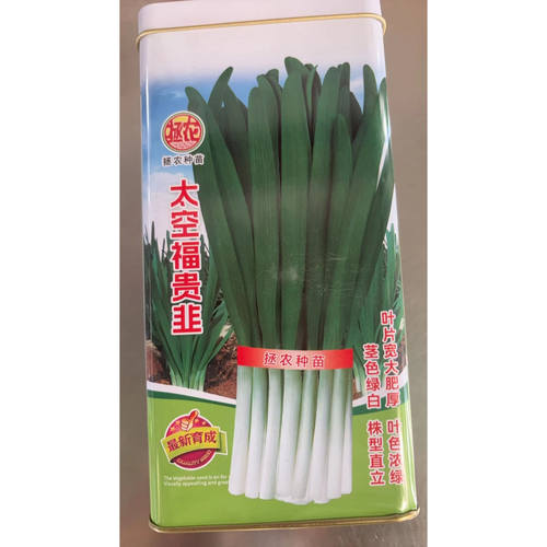 太空富贵韭优质韭菜种子太空福贵韭菜籽高产韭菜种籽太空韭菜种子