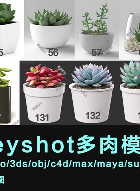 keyshot多肉植物盆景keyshot/犀牛/obj/c4d/3dm/max /su/fbx模型