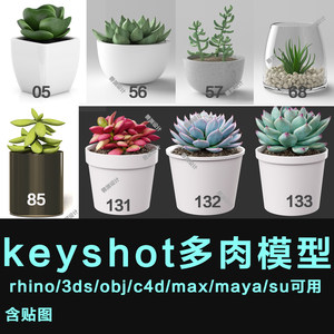 keyshot多肉植物盆景keyshot/犀牛/obj/c4d/3dm/max/su/fbx模型