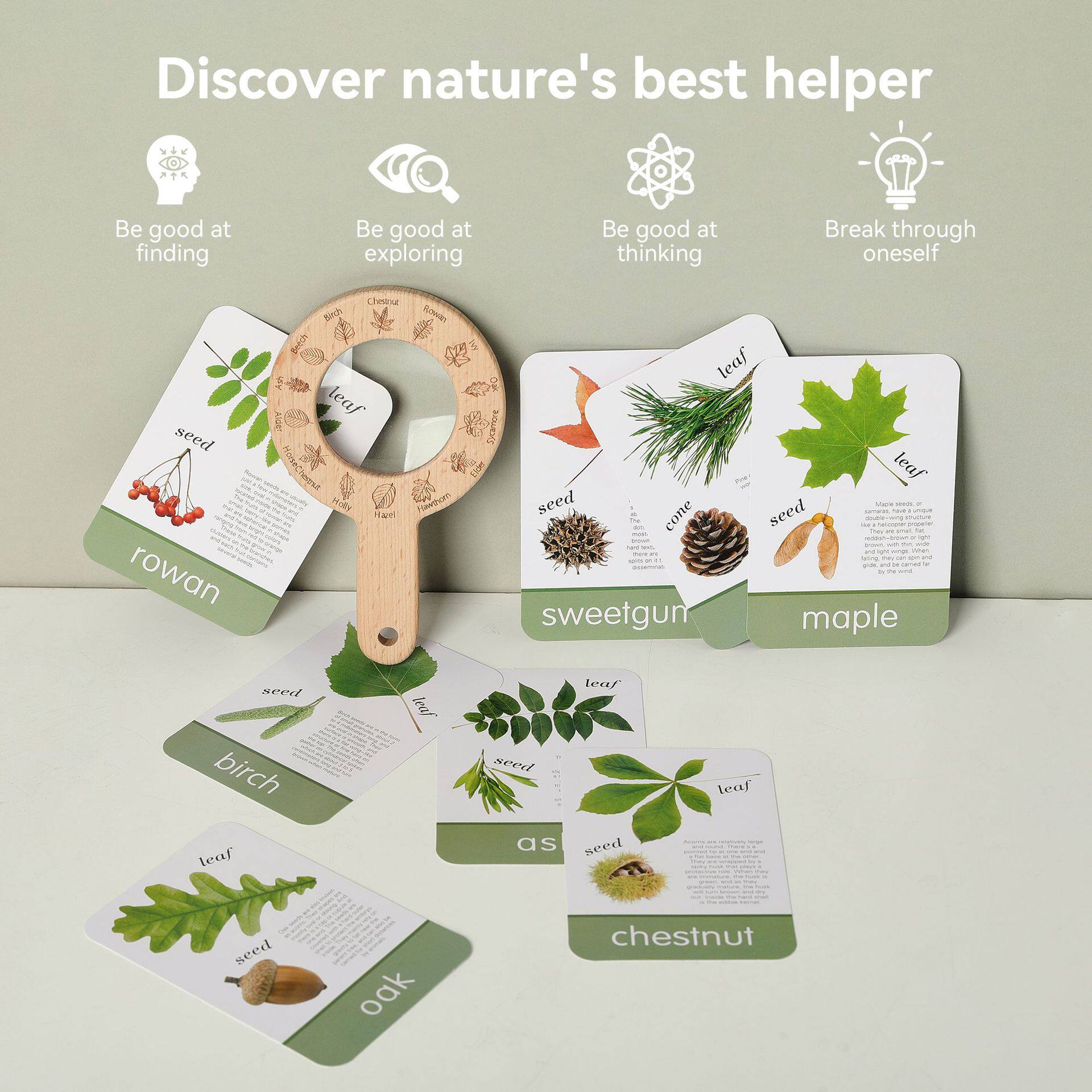 宝宝探索大自然植物对比益智早教兴趣培养放大镜玩具植物认知卡片