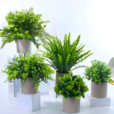 喜莱卡仿真花人造花仿真盆景仿真小盆栽仿真绿植客厅办公室装饰品