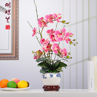 家居客厅茶几餐桌塑料花装 蝴蝶兰仿真花假花摆件套装 饰品花架摆设