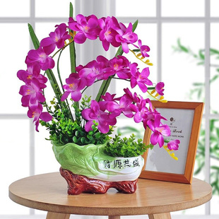 蝴蝶兰仿真花套装 饰品盆栽摆件 兰花假花盆景摆设室内客厅办公室装