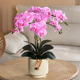 蝴蝶兰彷真花摆设兰花轻奢高端假花插花餐桌花艺摆件绢花摆花装 饰