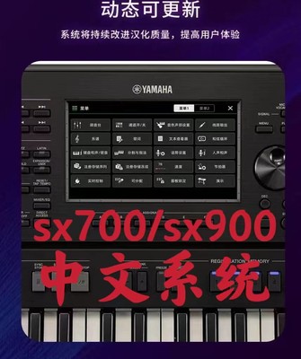 中文系统中文SX700SX900