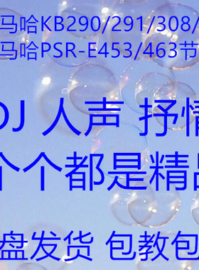 雅马哈电子琴KB290/291/308/309/E453/463/410扩展节奏包  拓展包