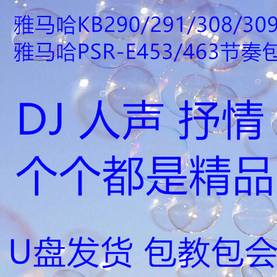 雅马哈电子琴扩展节奏拓展包