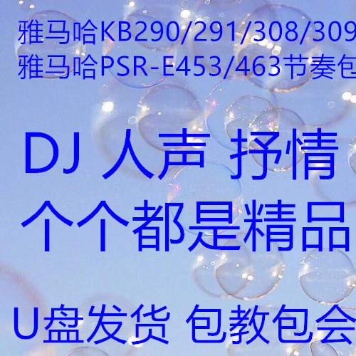 雅马哈电子琴扩展节奏拓展包