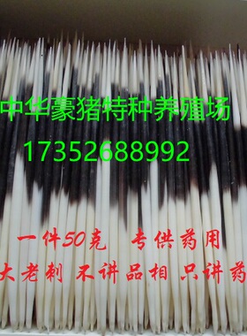 养殖豪猪刺药用50克一件包邮