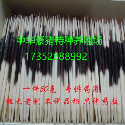 养殖豪猪刺药用50克一件包邮