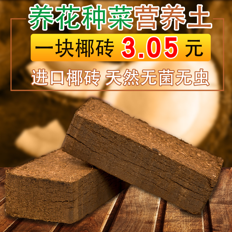 杨力讲饮食与营养