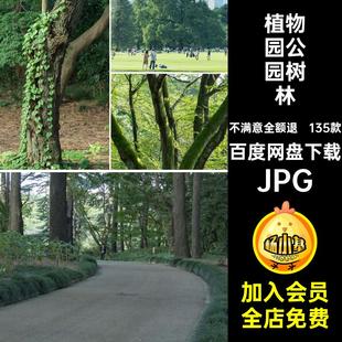 植物园公园树林JPGJPG135款数目图片高清照片背景JPGJPGJPG摄影