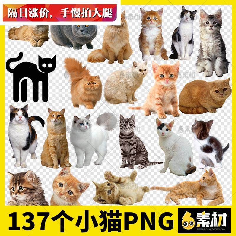 小猫咪黑色白色花猫可爱动物宠物剪影卡通png免抠ps图片黑猫素材