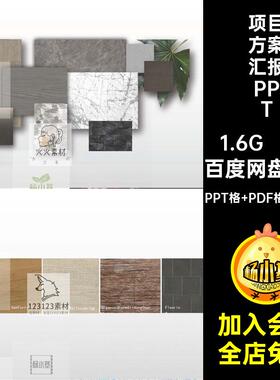 项目方案汇报PPTPPT格 PDF格式 JPG模板参考8套案例模版排版概念