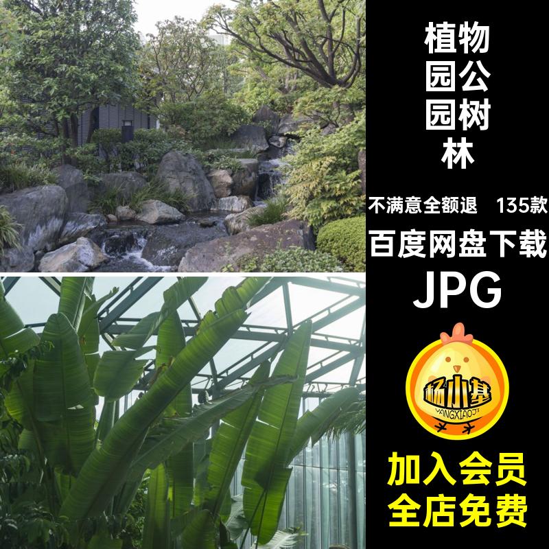 植物园公园摄影数目JPGJPG照片高清背景JPGjpg树林图片可绿叶森林