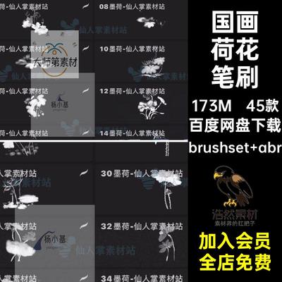荷叶荷花笔刷莲花国风传统procreate植物水墨水墨荷花笔刷古典