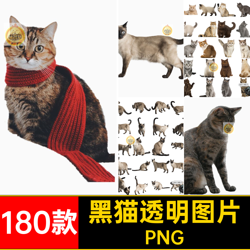 可爱猫咪小猫花猫黑猫小奶猫宠物猫动物免抠PNG透明背景图片素材