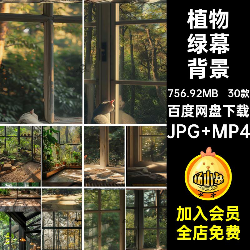 窗外动态视频背景树林植物绿植室内mp4竖屏设计jpg绿幕直播间素材