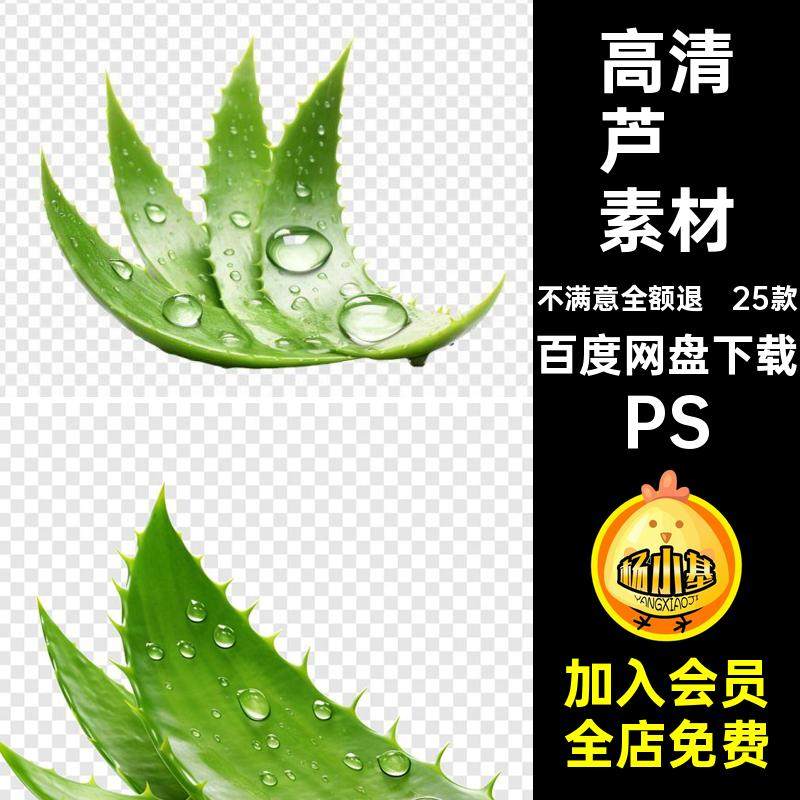高清芦荟素材PS抠化妆海报Banner免25款设计PSD护肤品单张底图
