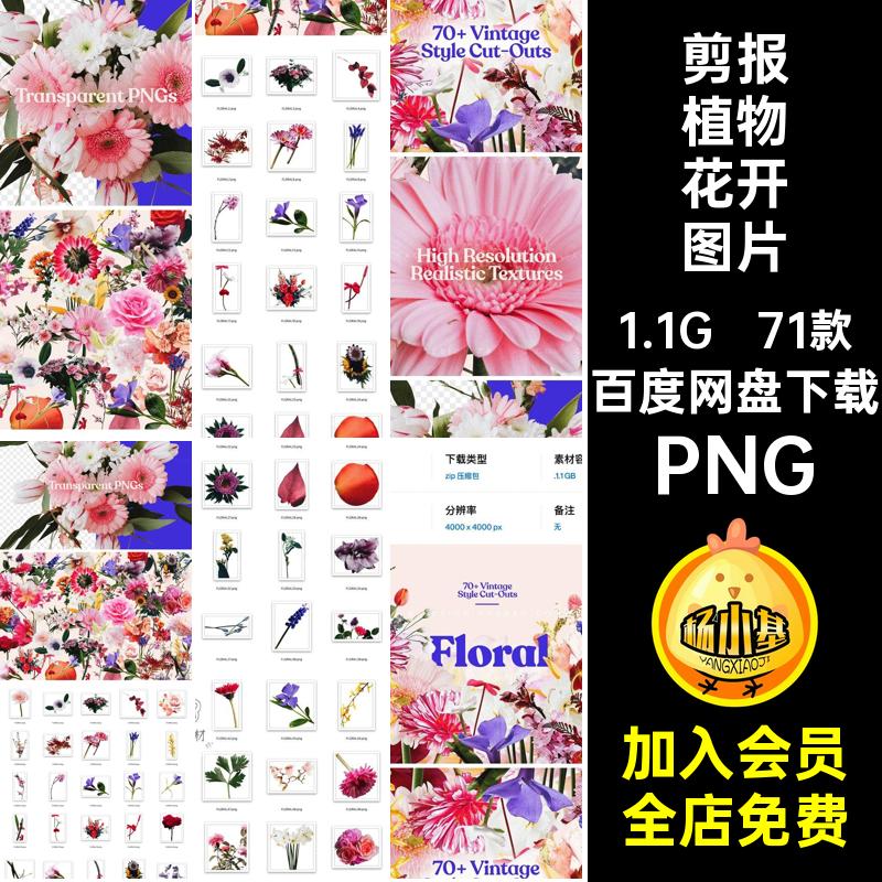 71款潮流复古拼贴剪报植物花卉png免抠图片平面设计素材源文件