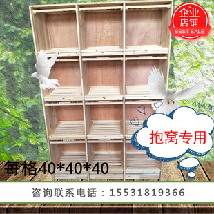 信鴿組合巢箱賽鴿子籠子木質(zhì)鴿具孵化養(yǎng)殖配對籠實木種鴿放飛籠