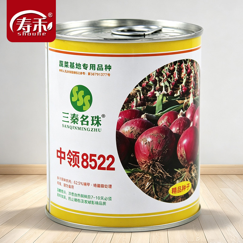 紫皮洋葱种籽中领8522洋葱种子苹果型耐寒圆葱扁圆紫红色蔬菜种孑