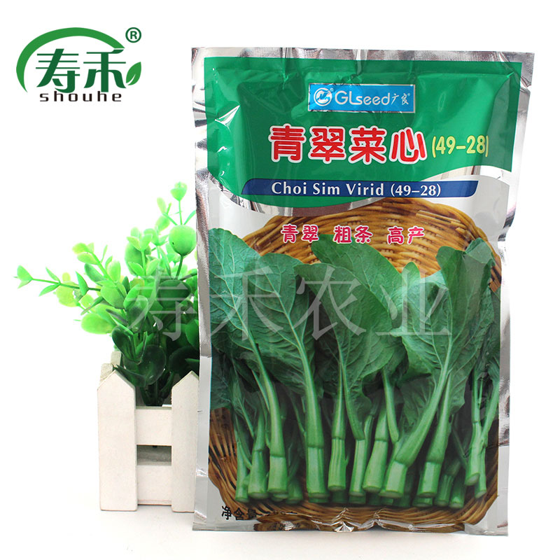 蔬菜种子耐热高产广东菜心