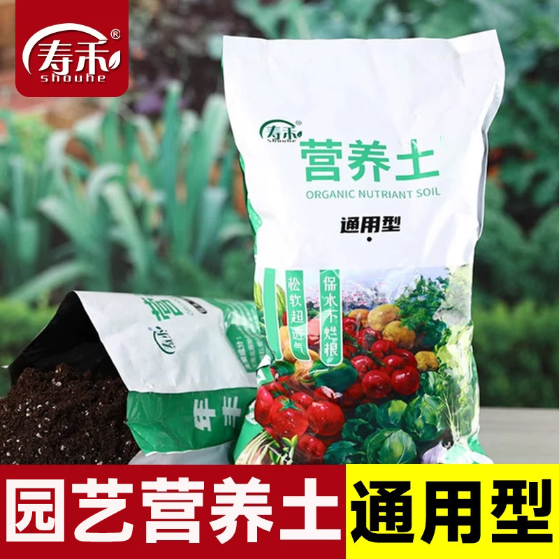 通用型种菜营养土发财树图片