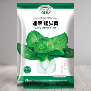 孑菜籽 四季 矮脚黄奶白菜种子小白菜青菜油菜黑叶种籽秋季 冬季