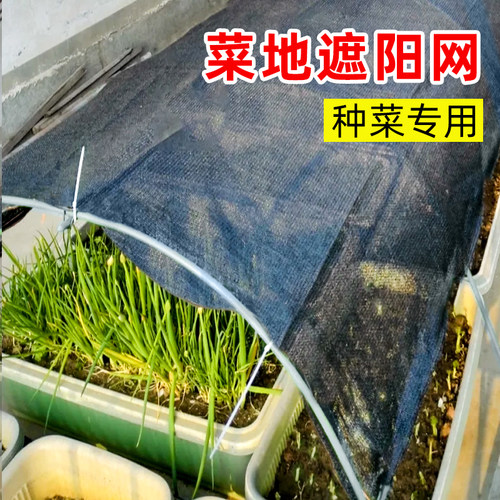 种菜用的遮阳网菜地专用遮阴网