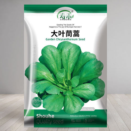 大叶茼蒿种子种籽冬季
